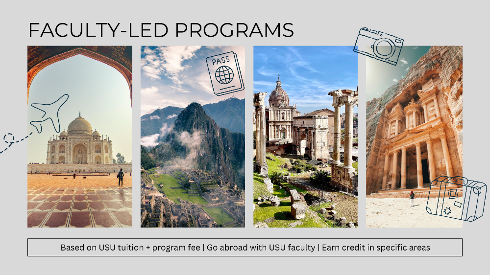 Faculty Led Program Banner
